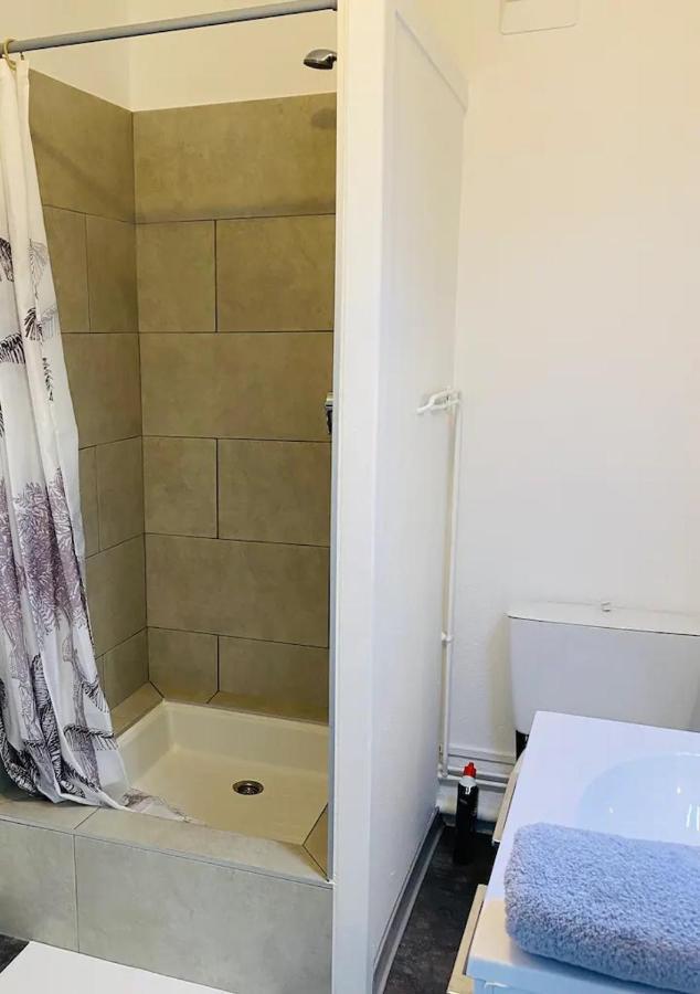 Le 610 - Cosy - Stationnement Gratuit & Wifi Apartment Saint-Etienne  Ngoại thất bức ảnh