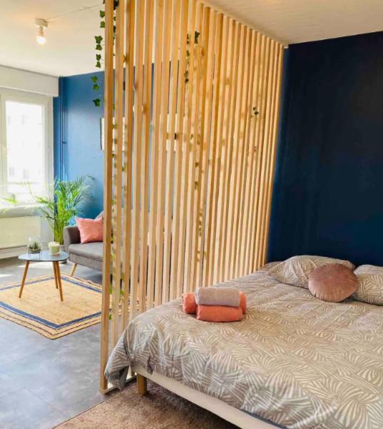 Le 610 - Cosy - Stationnement Gratuit & Wifi Apartment Saint-Etienne  Ngoại thất bức ảnh