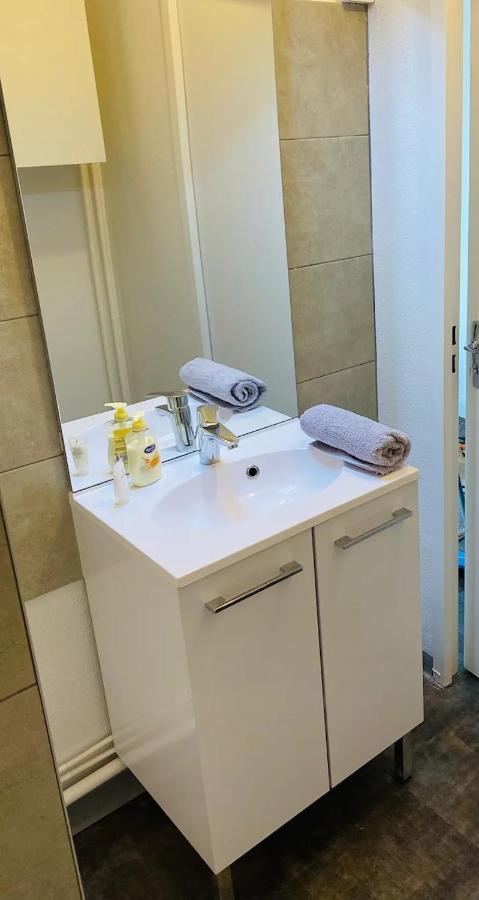 Le 610 - Cosy - Stationnement Gratuit & Wifi Apartment Saint-Etienne  Ngoại thất bức ảnh