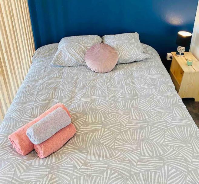Le 610 - Cosy - Stationnement Gratuit & Wifi Apartment Saint-Etienne  Ngoại thất bức ảnh